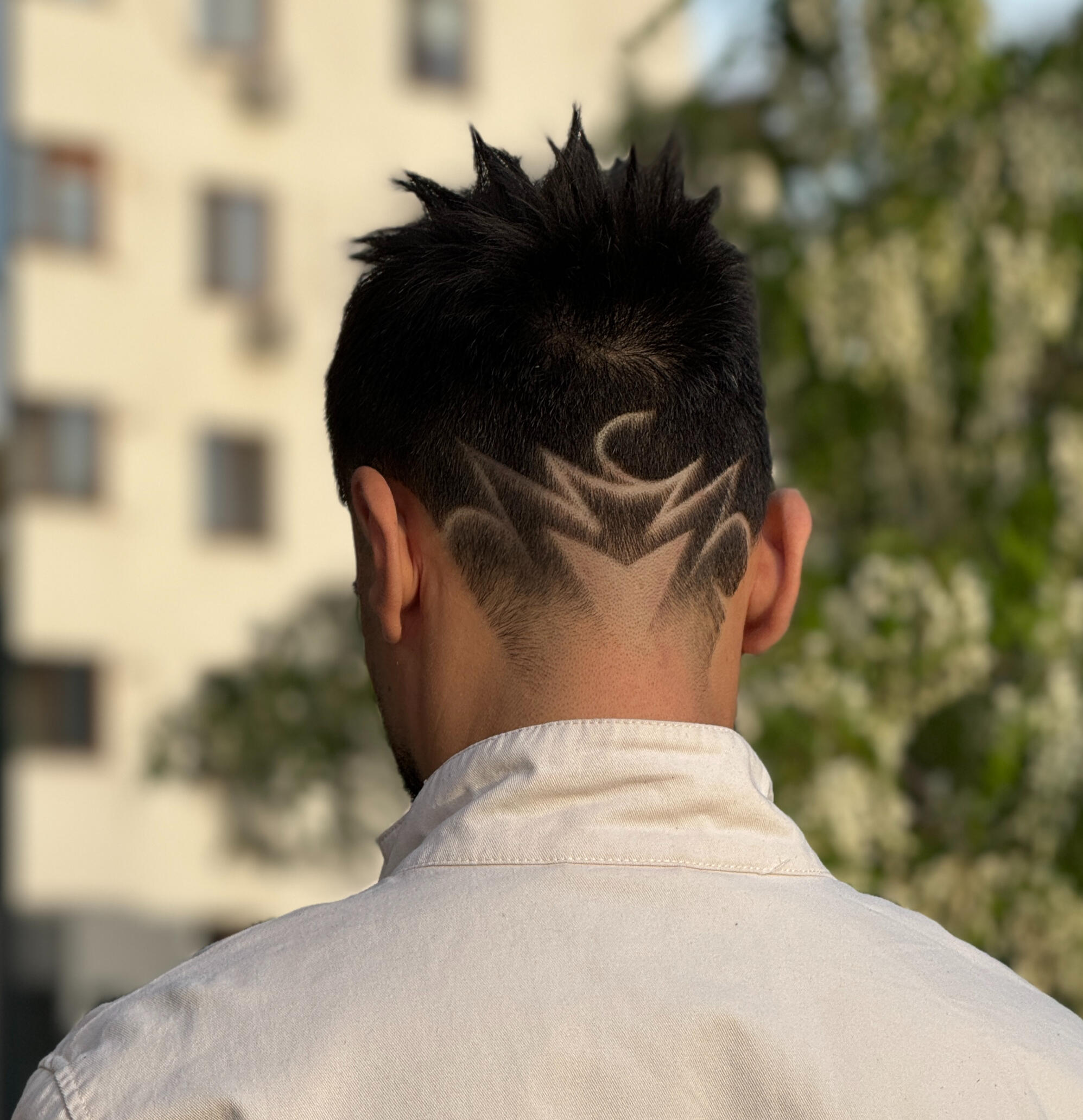 Hair Design Hair Design